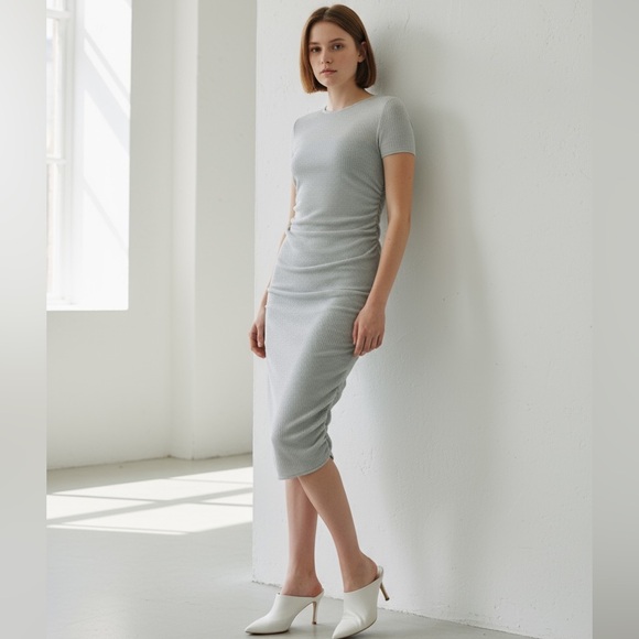 NWT TSE Cashmere Sheer Ruched Short Sleeves Dress with Slip Color: Sage Size L
